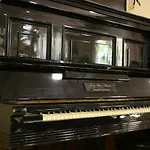 Rea Paralía
